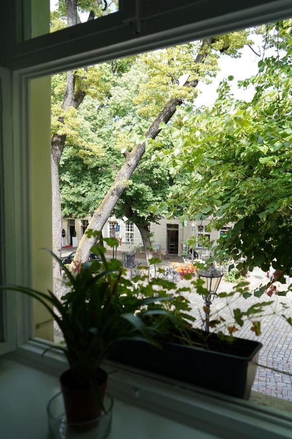 Cafe Alice & Pension Gmbh Potsdam Extérieur photo